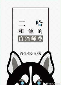 二哈和他的白猫师尊
