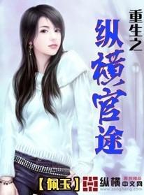 重生之纵横官途