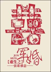 掠天记