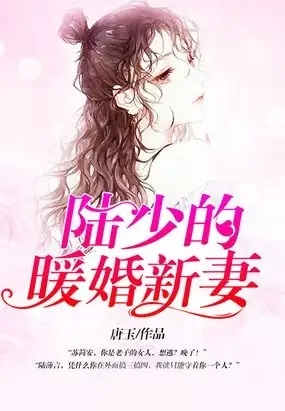 陆少的暖婚新妻