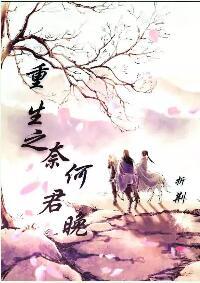 重生之奈何君晚
