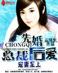 宠妻至上总裁先婚后爱