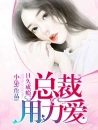 日久成瘾：总裁，用力爱