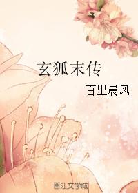 玄狐末传
