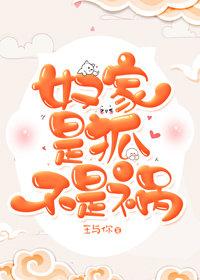 奴家是狐不是祸