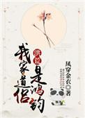 我家道侣是鸿钧