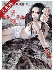 超级升职系统